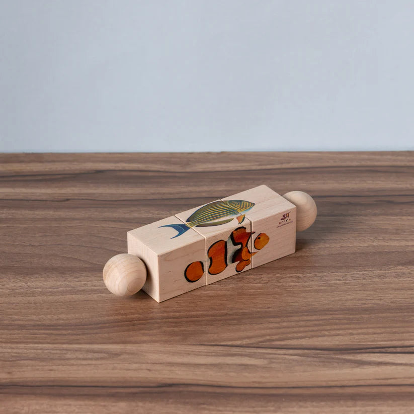 Fish - Rotating Puzzle