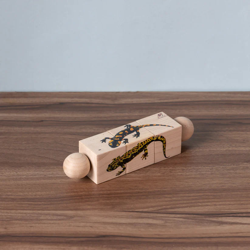Amphibians - Rotating Puzzle
