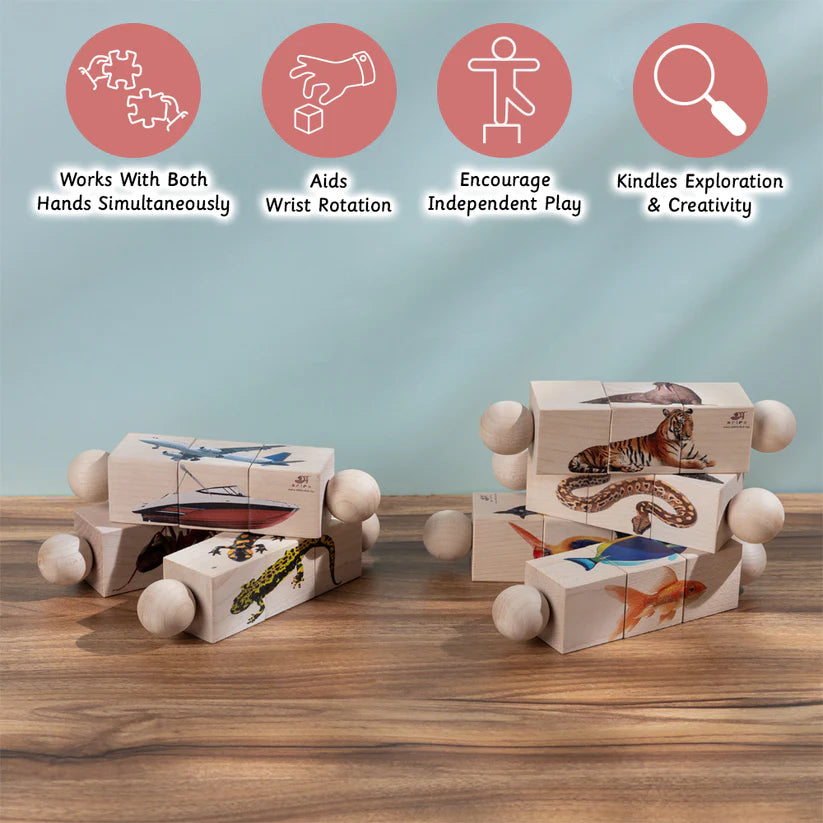 Insects - Rotating Puzzle